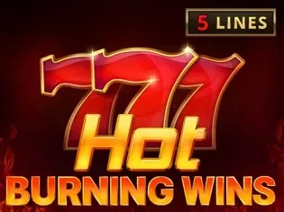 Hot Burning Wins icon